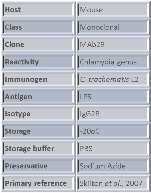 MAb29 table