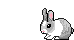 bunny1"/