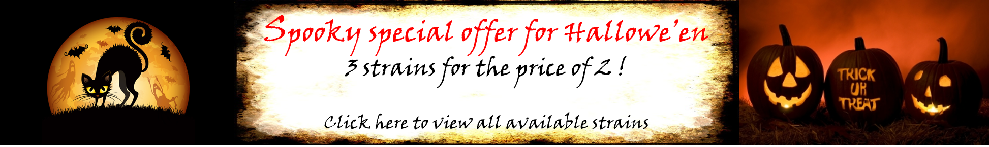 Hallowe'en offer